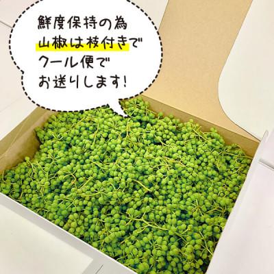 ふるさと納税 有田川町 有田のぶどう山椒 1kg (500g×2箱) 実山椒 生山椒 クール便対応 和歌山県産 |  | 02