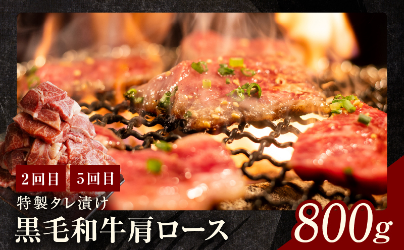 黒毛和牛 定期便 全6回 （ステーキ／焼肉／すき焼き・しゃぶしゃぶ） 12万円コース 丸善味わい加工【毎月配送コース】 099Z240