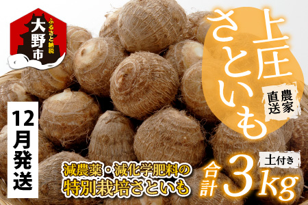 【12月発送分】【年内配送】【12月25日までの入金確認分は年内お届け】上庄さといも 3kg 減農薬・減化学肥料の特別栽培里芋 農家直送