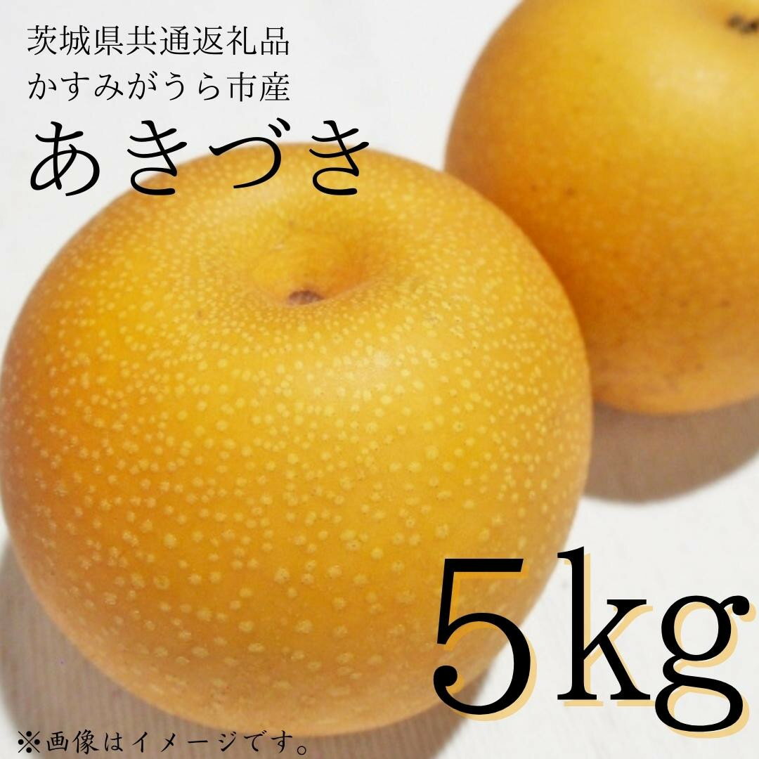 【ふるさと納税】梨「あきづき」　5kg（茨城県共通返礼品・かすみがうら市産）