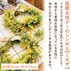 【先行予約・数量限定】大きな木から作るミモザのリース（限定品）【インテリア おしゃれ 壁飾り プレゼント お花 ギフト ナチュラル アレンジ フラワーアレンジ 水戸市 水戸 茨城県 10000円以内 