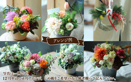 【定期便３回】おまかせ季節のフラワーアレンジ（生花）Ｓサイズ ×３ヶ月【母の日申込期日：4/26（日）まで】【母の日発送予定日：～5/11（月）まで】お好み、着日指定可能　[C-036001]