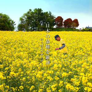 薪焙煎　純国産菜種100％「ほうろく菜種油伝承油」1本(460g)・「ほうろく菜種油荒搾り油」1本(460g)・H003-20