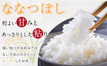 【1月配送】特別栽培米ななつぼし精米6kg(3kg×2袋) 令和7年産(1月より発送予定)_05283