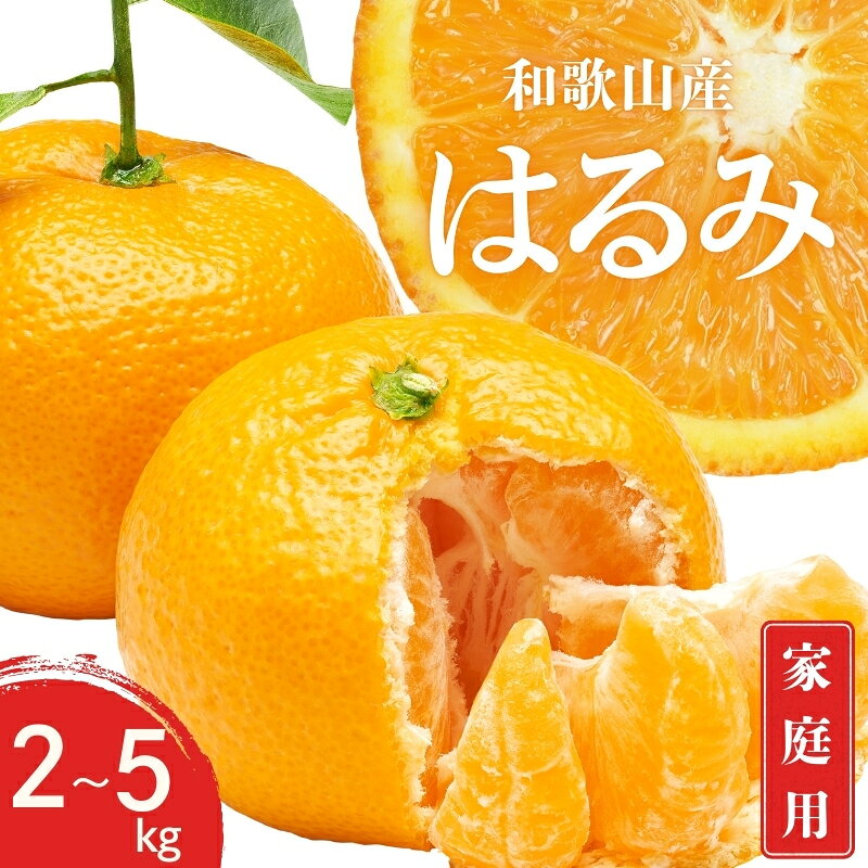 【ふるさと納税】 【先行予約】訳あり 家庭用 はるみ 和歌山 有田 2S〜3Lサイズ 混合 2kg / 3kg / 5kg 【1月下旬〜3月下旬までに順次発送予定】 / みかん フルーツ 果物 くだもの 蜜柑 柑橘