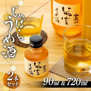 和歌山 じゃばら うめ酒 720mlと小瓶のセット【プレミア和歌山認定品】 ［HCS1］