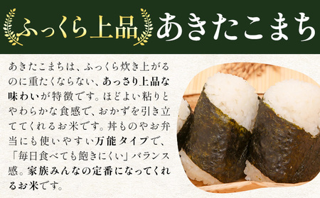 米 あきたこまち 白米 茨城 ふるさと米 10kg《2月中旬-3月末頃出荷》 茨城県 結城市 米 国産 お米 おこめ お弁当 おにぎり