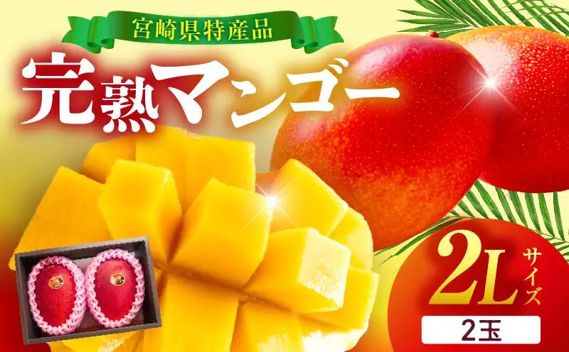 宮崎県産 完熟マンゴー 2玉 2L_b0954_ww