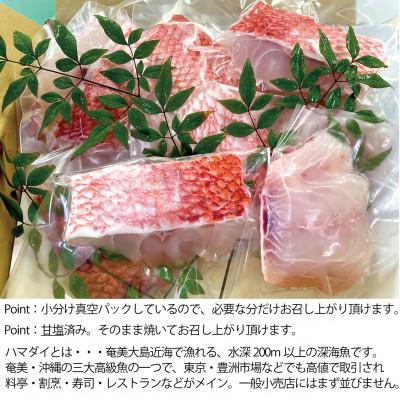 ふるさと納税 奄美市 高級魚「ハマダイ(オナガ)」切り身500g(甘塩) 小分け真空パック |  | 01