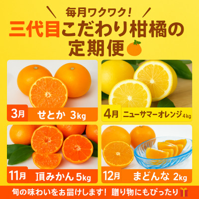 【発送月固定定期便】柑橘【みかん・まどんな・せとか・ニューサマーオレンジ】【H31−46】全4回【4058612】