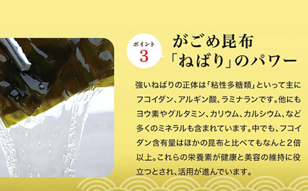 おいしい根こんぶだし　6本セット｜調味料 出汁 阿久比町
