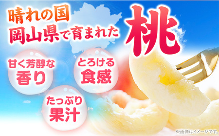 【2027年発送】岡山の桃 約750g 　白桃