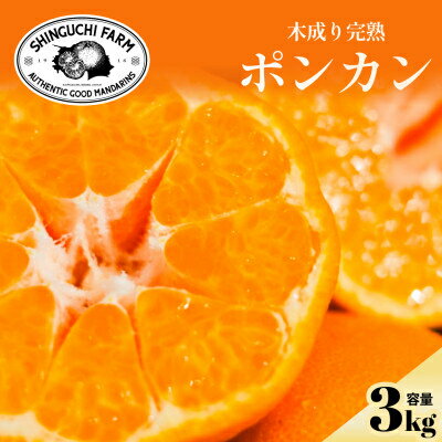 【ふるさと納税】【甘味と酸味のバランスが絶妙】ポンカン 　 3kg / 5kg / 10kg 家庭用【新口農園】_ みかん ミカン 蜜柑 ポンカン ぽんかん 果物 くだもの フルーツ デザート おいしい 甘い かんきつ 柑橘 柑橘類 国産 愛媛 えひめ 愛媛県 八幡浜市 家庭用【G1614988】