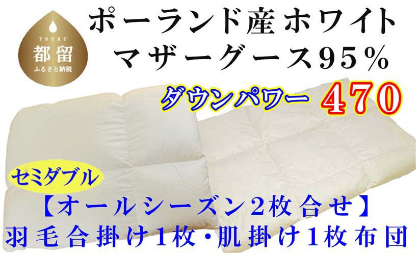 
            羽毛合い掛け・ 肌布団2枚組ポーランド産マザーグース９５％ 合掛け セミダブル170×210cm dp470
          