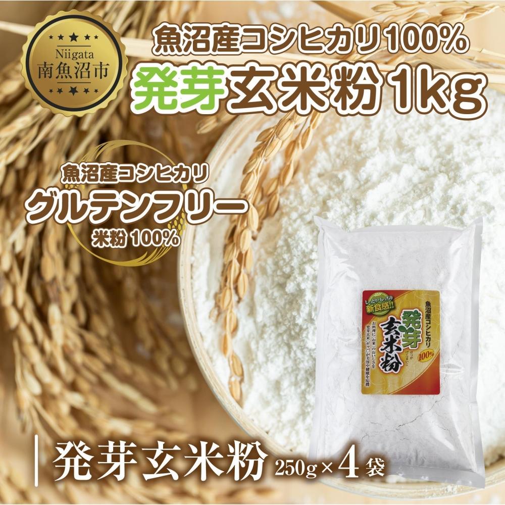 【ふるさと納税】魚沼産 コシヒカリ 発芽玄米粉 250g×4袋 計1kg 玄米 グルテンフリー 小麦不使用 アレルギー GABA お取り寄せ 菓子 パン ケーキ ギフト 送料無料 コパフーズ 新潟県 南魚沼市 | 食品 加工食品 人気 おすすめ 送料無料