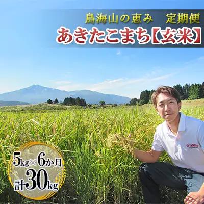 あきたこまち 秋田県産 鳥海山の恵み 玄米 農家直送 あきたこまち【計30kg 5kg×6回】【定期便】【先行予約】