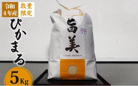 【「 お米番付2021 」 優秀賞 受賞 】 米 5kg お米 白米 京都 向日市 ぴかまる 五十棲