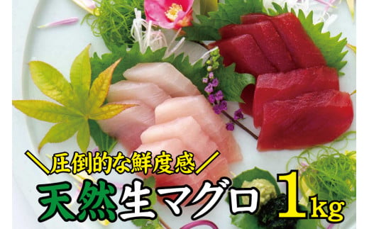 天然 キハダ（もしくはメバチ） 生まぐろ たっぷり1kg 鮮度抜群の生まぐろをお届けします / 生鮪 鮪 マグロ 生まぐろ キハダマグロ 刺身【tka014A】
