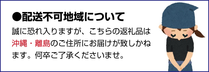 【先行予約】ゆらみかん約9kg 温州みかん 和歌山県由良町産［2025年12月10日～25日発送予定］【kzmn017】
