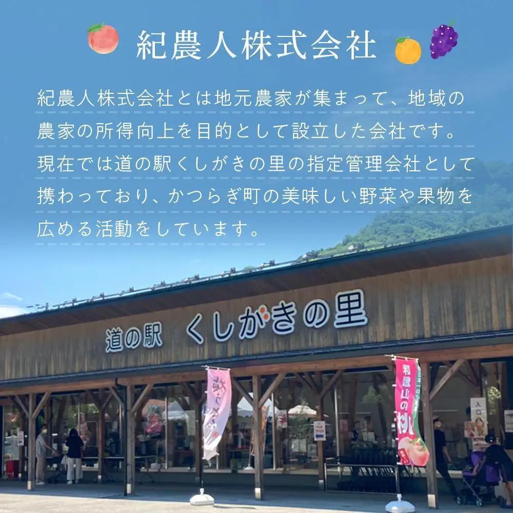 先行予約 富有柿 秀品6～8個入り こだわり農家厳選［2026年11月初旬頃から12月上旬頃順次発送］［KG25］