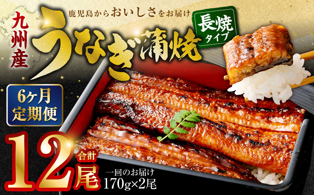 
IS-210【6カ月定期便】九州産 うなぎ蒲焼 (約170g×2尾 6回) 計12尾 うなぎ 蒲焼 鹿児島県 薩摩川内市
