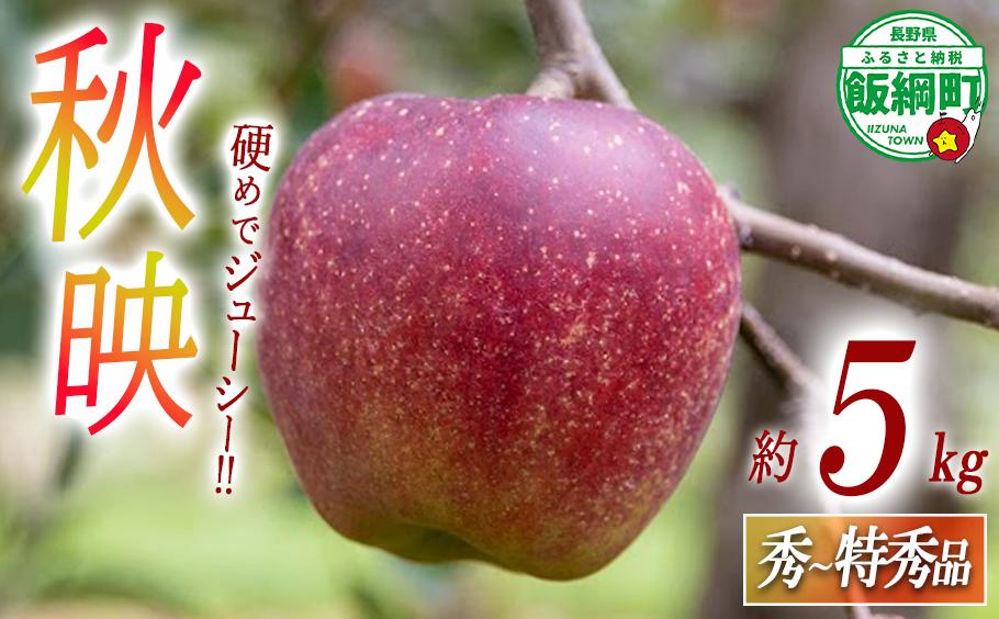 
                  りんご 秋映 秀 〜 特秀 5kg 永正の地蔵尊神谷農園 沖縄県への配送不可 2026年10月上旬頃から2026年12月上旬頃まで順次発送予定 令和8年度収穫分 信州 果物 フルーツ リンゴ 林檎 長野 予約 農家直送 長野県 飯綱町 [1861]
                