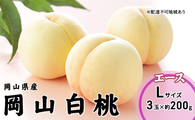 桃 2025年 先行予約 岡山 白桃 エース 3玉×200g（Lサイズ） 岡山県産 JAおかやまのもも モモ 岡山県産 国産 フルーツ 果物 ギフト 