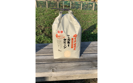 ＜令和7年産＞特別栽培米　ミルキークイーン　5kg　【11246-0109】