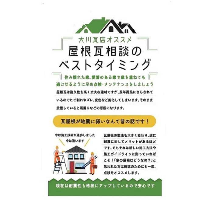【ふるさと納税】屋根点検チケット（平屋建て）