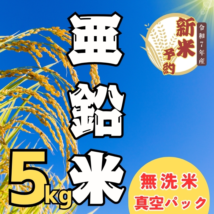 【先行予約】 <令和７年産 新米> 亜鉛米（コシヒカリ） 無洗米 5kg 真空パック（7-50）