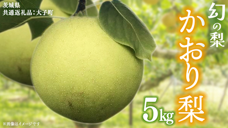 かおり 梨 5kg 【2026年8月中旬発送開始】(茨城県共通返礼品：大子町)