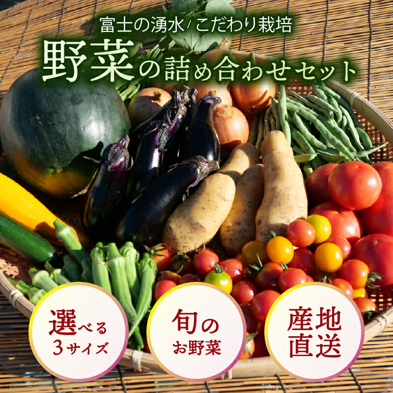 【ふるさと納税】 お野菜 詰め合わせセット 選べる3サイズ 富士山の湧水でつくる 四季の美味しい 旬 野菜 Sサイズ(4～5品)、Mサイズ(6～7品)、Lサイズ(8～10品)
