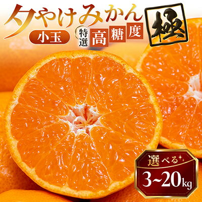 【ふるさと納税】【甘みが濃縮されたみかん】愛媛で育った夕やけみかん【極】3kg(小玉)～_ みかん ミカン 蜜柑 小玉 小玉サイズ 夕やけみかん 果物 くだもの フルーツ 甘い おいしい かんきつ 柑橘 柑橘類 国産 愛媛 愛媛県 八幡浜市 産直 産地直送 送料無料 【G1243462】