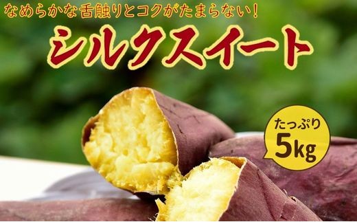 
                  さつまいも「シルクスイート」5kg【1185796】
                