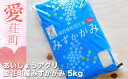 【ふるさと納税】みずかがみ 5kg 令和6年産 送料無料お米 米 精米 白米 2023年産 令和5年 安心安全 国産 おにぎり グルメ 食品 産地直送 AC03