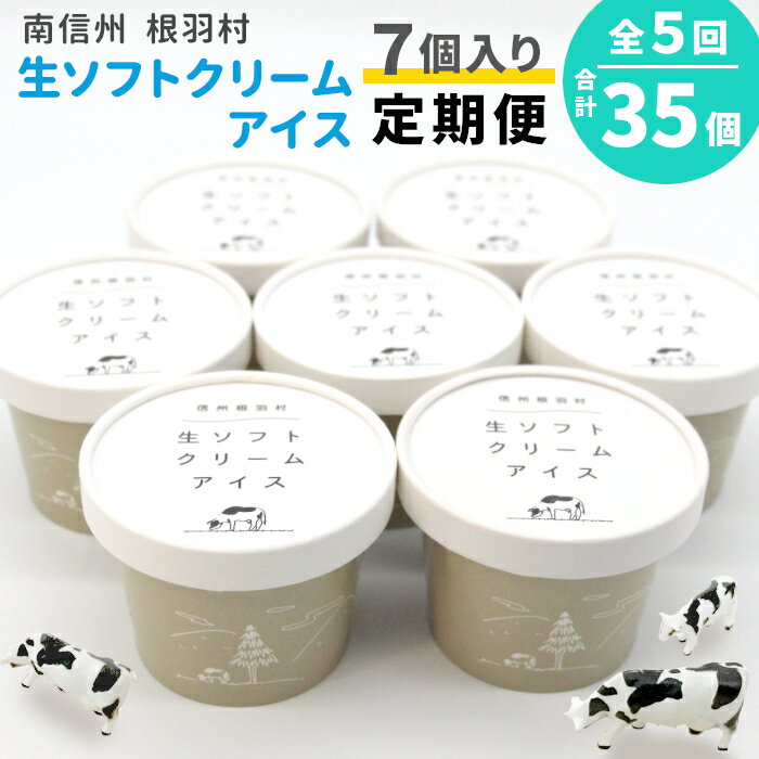 【ふるさと納税】2ヵ月に1回お届け・全5回★2026年1月～発送★生乳の美味しさそのまま！生ソフトクリームアイス 合計35個届く 定期便 南信州根羽村産アイス アイスクリーム 牛乳 ミルク 25,000円 25000円