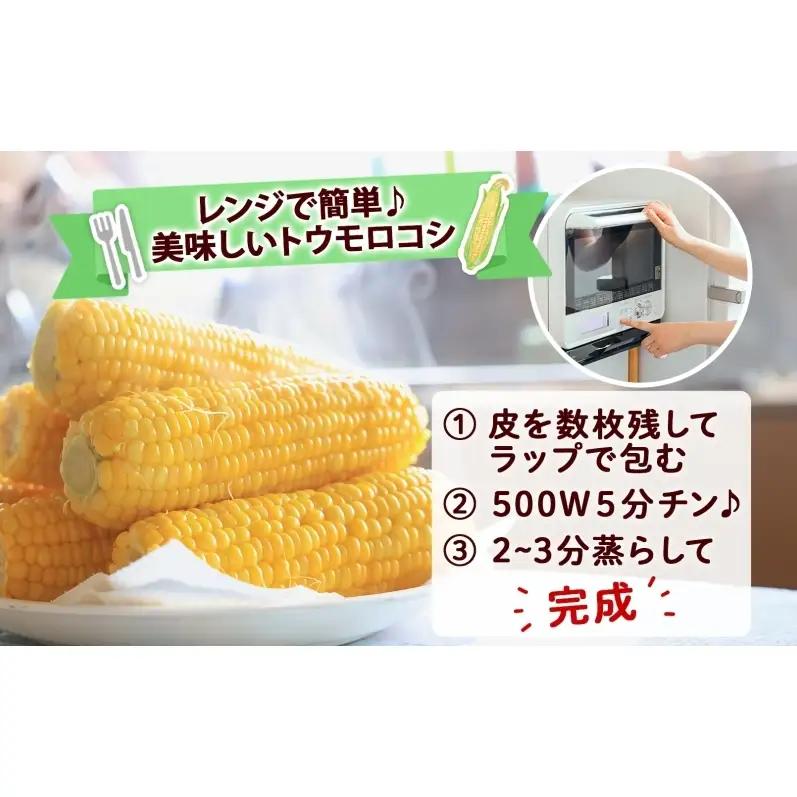 とうもろこし 北海道産 恵味 朝もぎ 2Lサイズ とうもろこし【13本 約5kg】