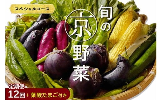 【6月発送】野菜定期便 12回 葉酸たまご付 7~10種類 旬の京野菜 スペシャルコース 詰め合わせ 季節 旬 野菜 やさい 野菜便 国産 国産野菜 新鮮 おまかせ 産地直送 春野菜 夏野菜 秋野菜 冬野菜 葉物 果菜 根菜 カット野菜 京都府産 亀岡市産 京丹波町産 季節の野菜 九条ネギ なす 唐辛子 サラダ トマト 京水菜 壬生菜 聖護院大根 聖護院かぶら 里いも つるむらさき 送料無料
