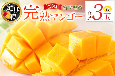 宮崎特産「完熟マンゴー4L×1玉」お届け定期便（全3回）計3玉 特産 国産 果物 フルーツ 旬 産地直送 大玉【E220-26】