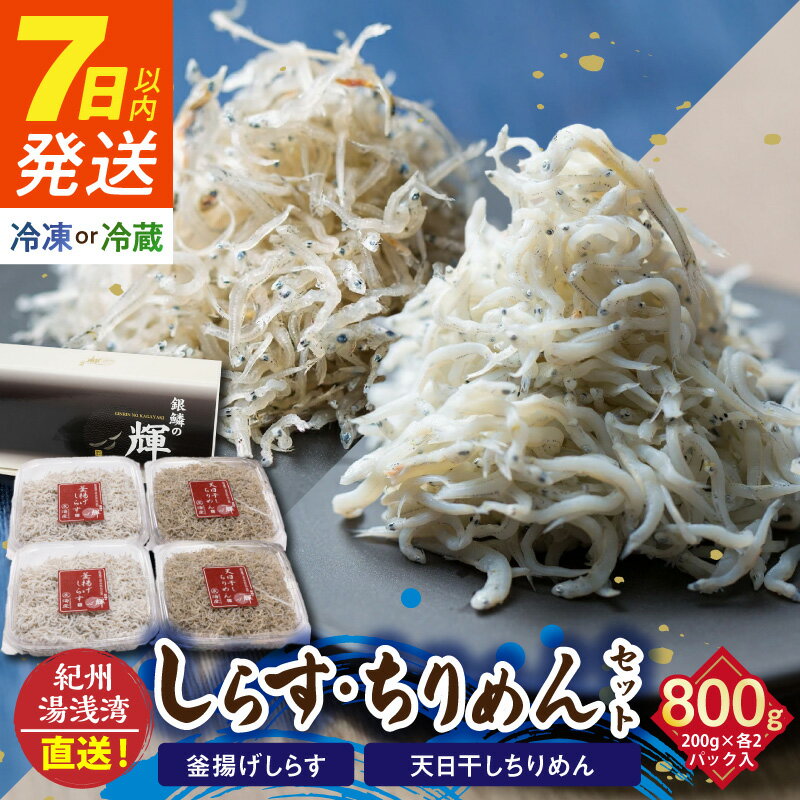 【ふるさと納税】《7日以内発送》 茹でたて釜揚げしらす（200g×2）天日干ちりめん（200g×2）セット 冷蔵・冷凍 選択可 紀州湯浅湾直送！