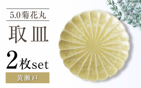 【瀬戸焼】5.0菊花丸取皿 黄瀬戸 2枚セット 【ヤマハツクリタ株式会社】 / 食器 和食器 丸皿 / 瀬戸市[BBDV023]