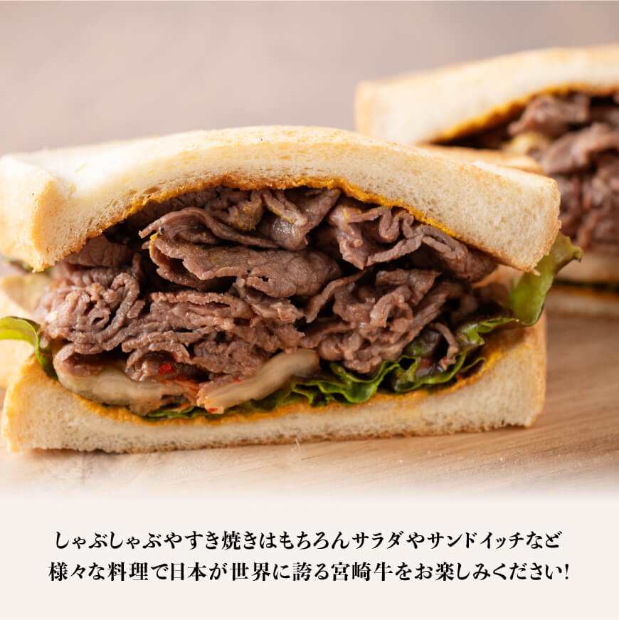 【令和7年5月発送】宮崎牛すき焼き用（赤身）500g　肉牛肉国産牛肉宮崎県産牛肉黒毛和牛ミヤチク牛肉牛肉すき焼き牛肉しゃぶしゃぶ牛肉焼きしゃぶ牛肉すきしゃぶ牛送料無料牛肉 [D0641r705] 【令