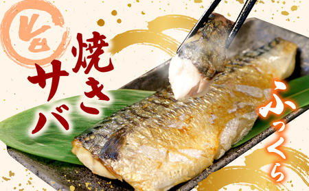 訳あり 鮭鯖セット 1.2kg 鮭 鯖