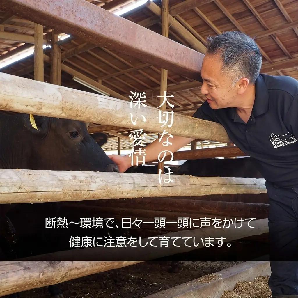 牛肉 京都もり牛 モモ ウデ 牛肉