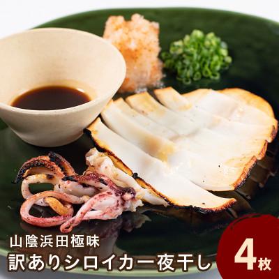 ふるさと納税 浜田市 山陰浜田極味の訳あり　シロイカ(ケンサキイカ)一夜干し　4枚