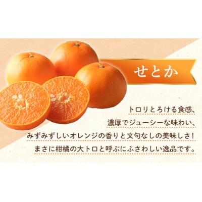 ふるさと納税 琴平町 【発送月固定定期便】香川県・三豊市共通返礼品　フルーツ旬の果物　Bセット全2回 |  | 02
