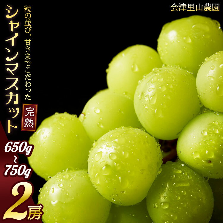 【ふるさと納税】【予約開始】 完熟シャインマスカット 650～750g 2房 （会津里山農園） 47-B｜ 福島 フルーツ くだもの 果物 ぶどう 葡萄 ブドウ シャインマスカット 皮ごと 種なし 先行予約 夏 秋 ギフト お取り寄せ おとりよせ ※2025年10月上旬頃～中旬頃に順次発送