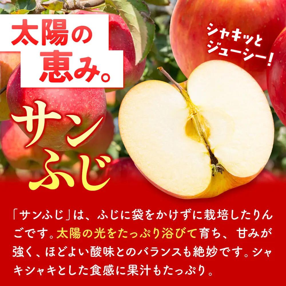 りんご サンふじ 約10kg 【秀品】りんご