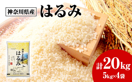 米 神奈川県産はるみ 特A米 20kg こめこめこめこめこめ