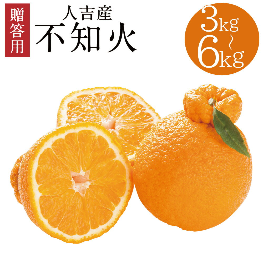 【ふるさと納税】贈答用 人吉産 不知火 しらぬい 約3kg/約6kg 選べる内容量 柑橘類 熊本 果物 フルーツ 年内発送 ギフト 贈り物 送料無料【入金締め切りは12月13日まで】【2025年12月下旬より順次発送予定】